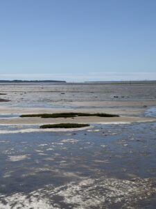 Marée basse